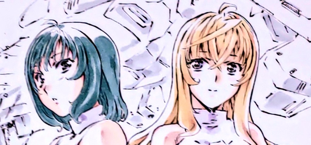 彩色致しました 