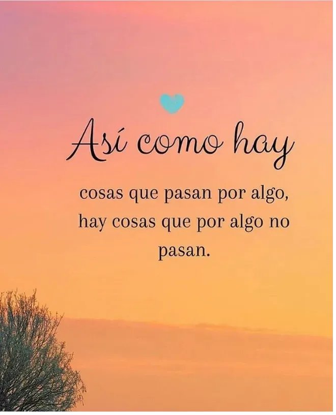 ElMundodelYoga's tweet photo. https://t.co/righQZD0n8