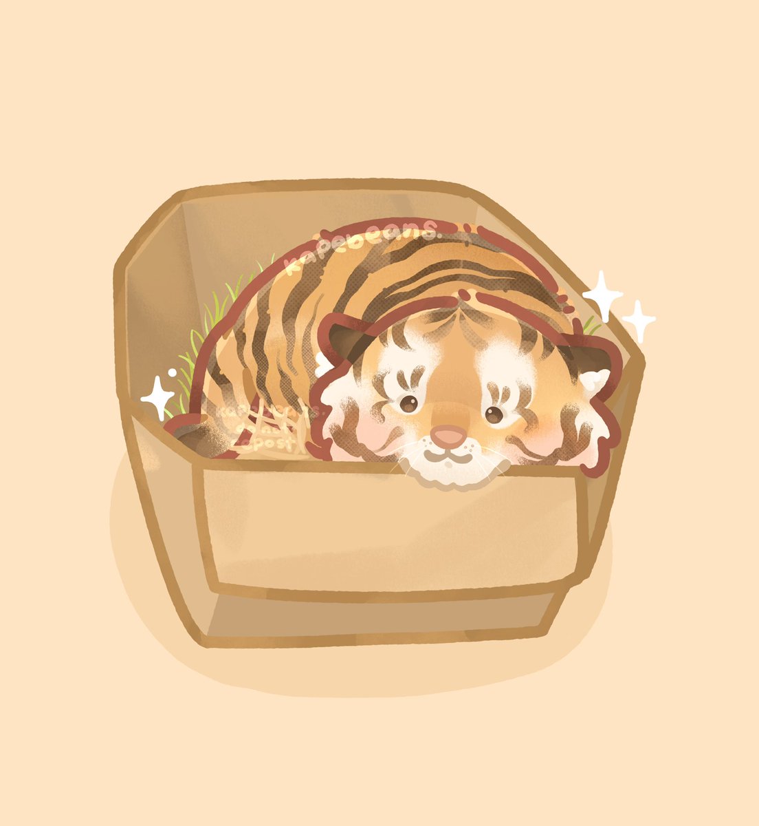 no humans box cardboard box tiger in container in box animal focus general  illustration images