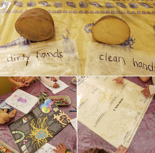 EClaireFontaine's tweet image. Germy hands make for grubby potatoes... wash your hands #EarlyChildhoodDevelopment #earlychildhoodeducation #scienceexperimentsforkids