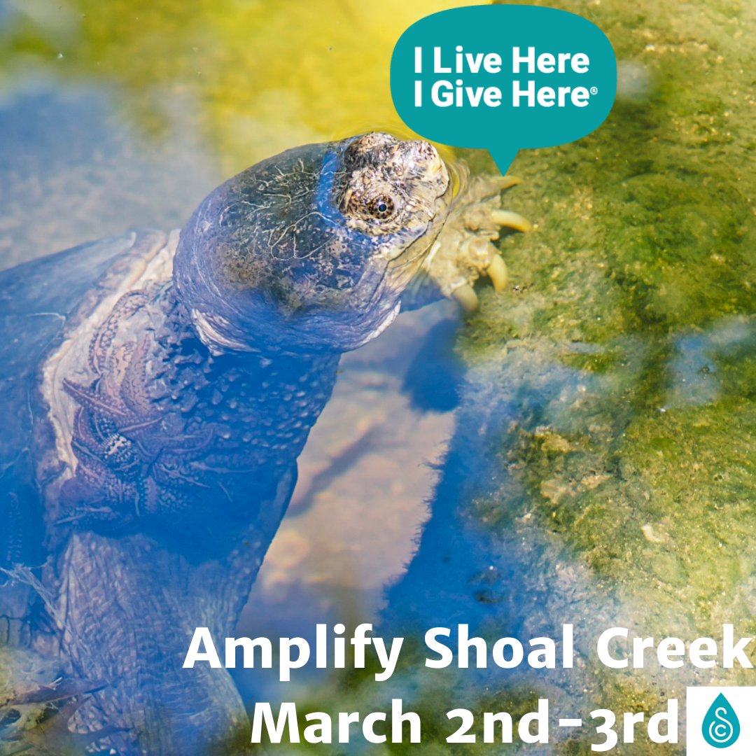 Shoal Creek Conservancy tweet media