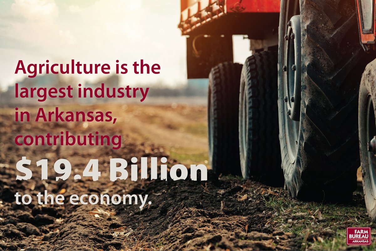 ArFB's tweet photo. Have you ever wondered how important agriculture is to Arkansas? This sums it up. #ArkAg #IndustryLeaders https://t.co/QCDlTJc4WO