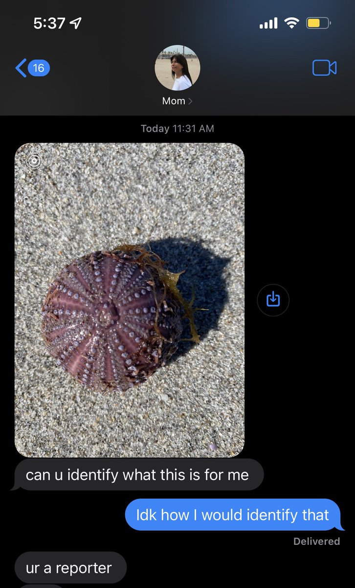 Charlotte Klein tweet media