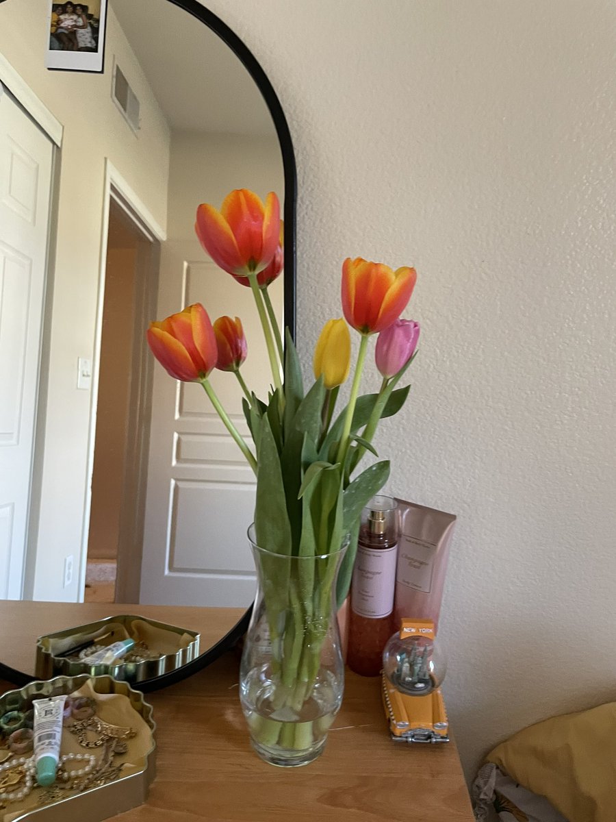 offbrandversa's tweet image. 🌷