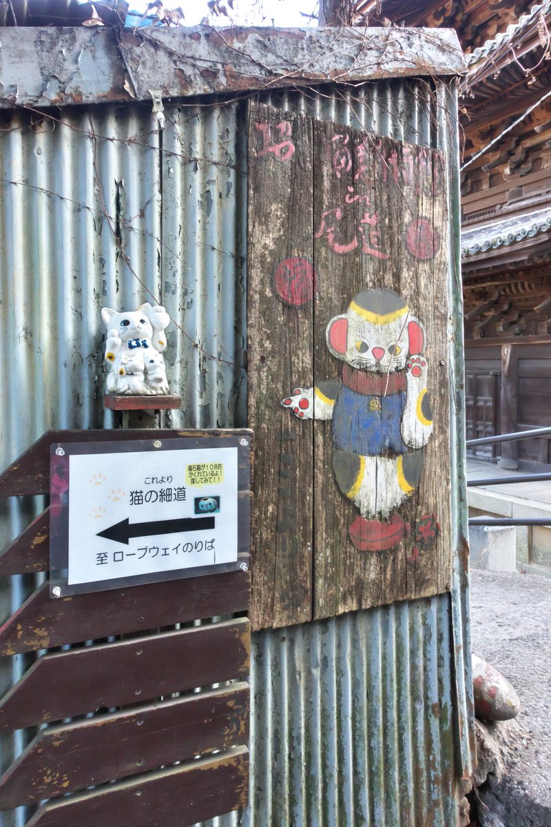 3150taka88's tweet photo. 22/01/03@広島旅⑦
尾道のイメージとしてここははずせない天寧寺三重塔からの眺望。
最高かよ😃
さあ、猫の細道に向かうぞ～🐱
#尾道
#天寧寺
#広島
#RX100M3(1.2)
#EOS_M(3)
#EF_M 11-22 F4-5.6 IS STM
#旅写真 
ニャンコに会えると良いな☺️🐱 https://t.co/xooULOP82a