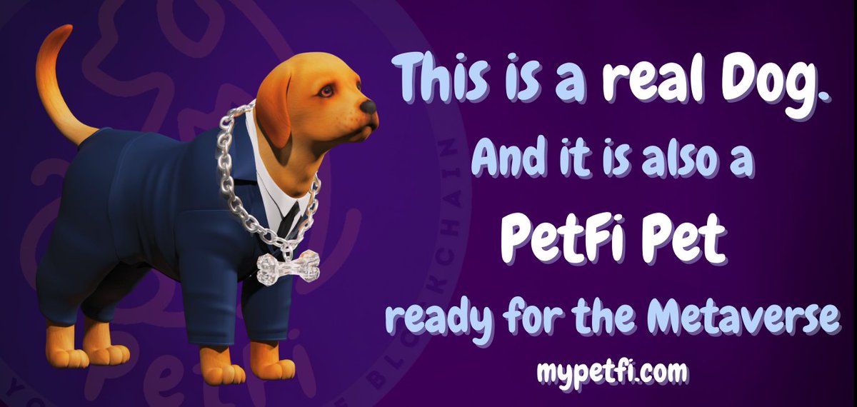 PetFi tweet media