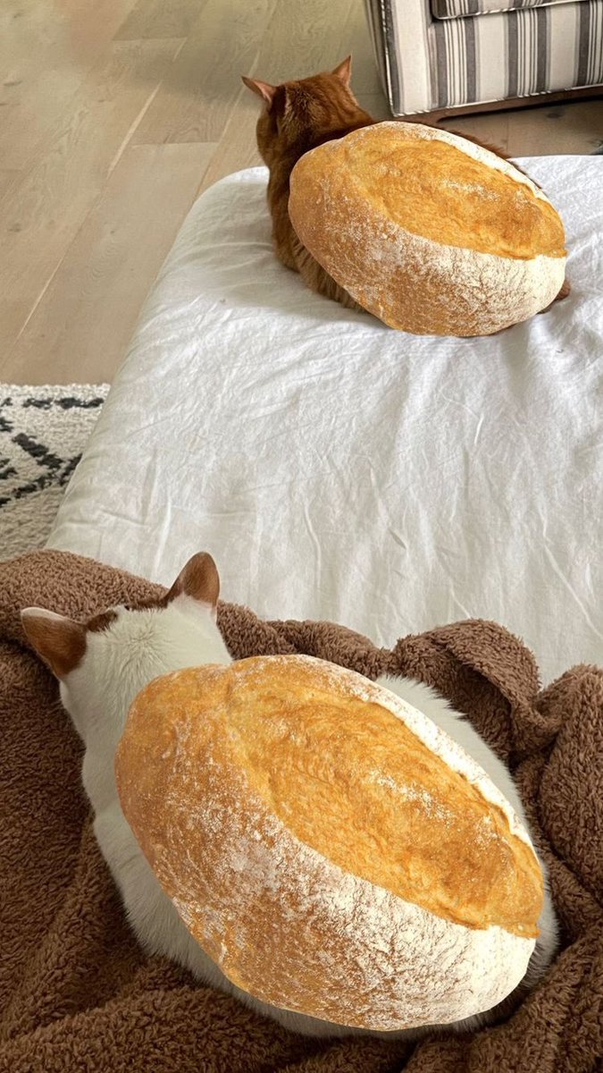 no context emma chamberlain (@oocchamberlain) on Twitter photo 