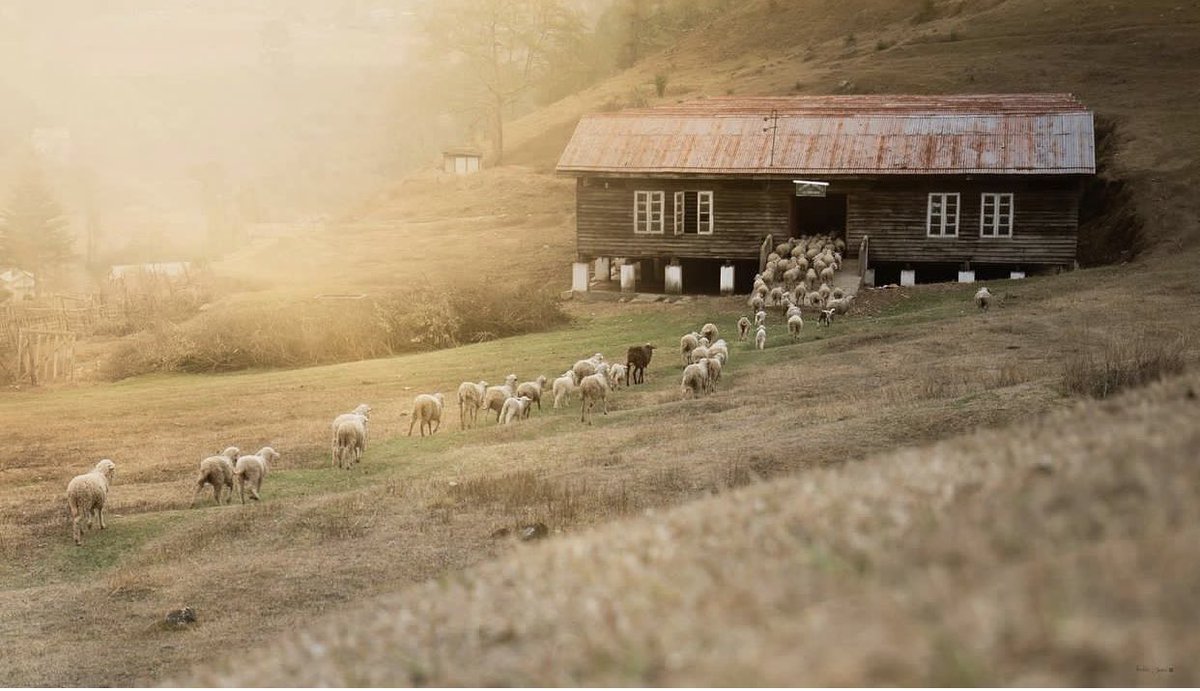 Bask in the beauty of Sangti valley.

#AmazingArunachal #VisitArunachal #WestKameng