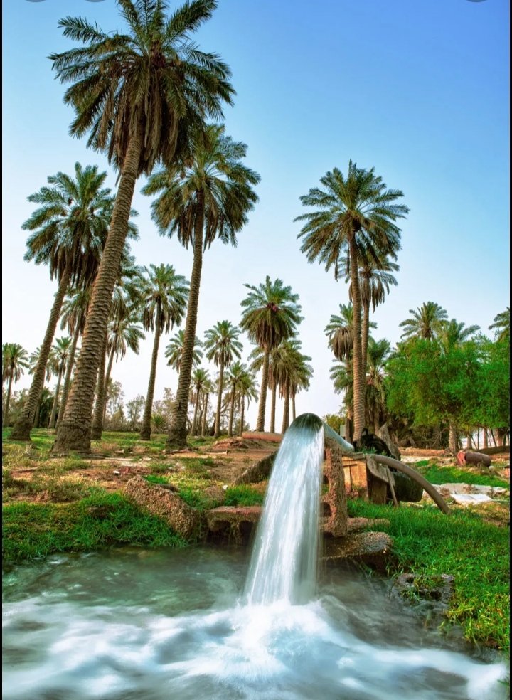 OMANHuawei3's tweet photo. صباح التفاصيل البسيطة التي توقظ بداخلنا الإمتنان لله وصباح الحب لخالق تلك الحياة التي ما زالت تحاول لفت إنتباهنا لجمالها https://t.co/9m1yjnhqVh