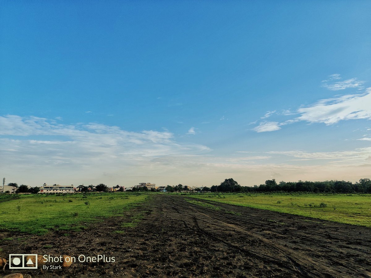 am__stark's tweet photo. Morning walks hit different when you got this view ahead!🍃���

#shotononeplus https://t.co/Kf9NjLMGWp