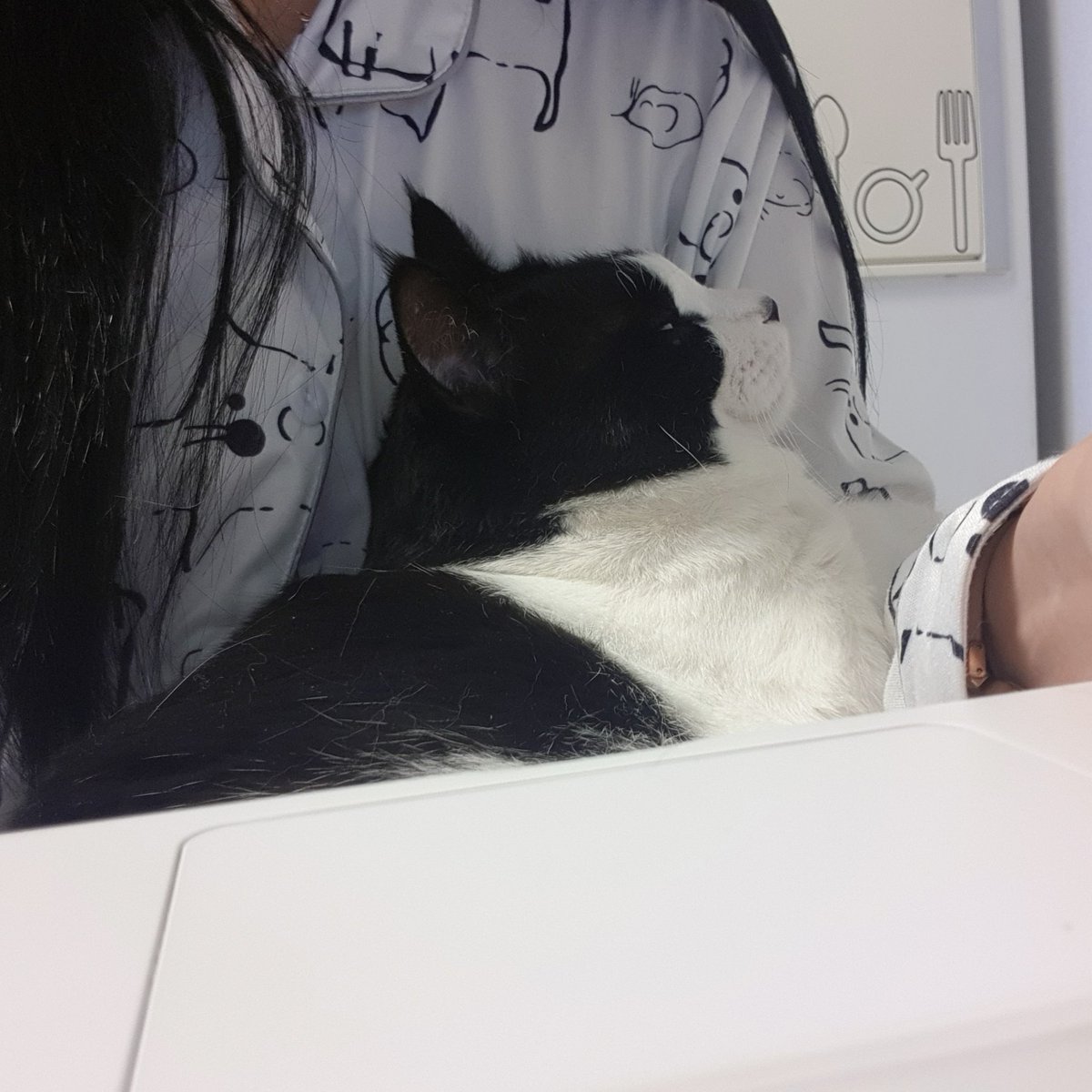 samchimom's tweet image. 노트북할때도 딱 붙어있어야해