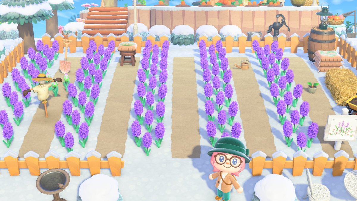 oMoistCupcake's tweet photo. So sad to take my lavender field down. #AnimalCrossing #ACNH #NintendoSwitch https://t.co/NLBFOFyIYS