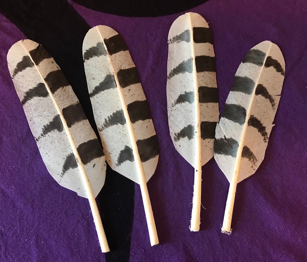 SageAdviceShop's tweet photo. Imitation Baby White Owl Feather for smudge kit, crafts #etsy #smudgefeather #ceremonialfeather #owlfeather #altarfeather https://t.co/GvF3x2m5Qr https://t.co/rdtaKzmmV1