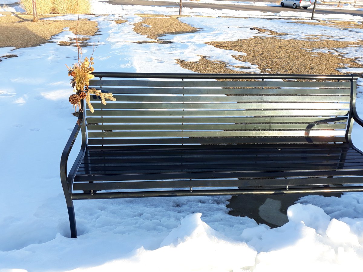 shericobbsouth's tweet image. With highs in the upper 40s,the hubs &amp;amp; I went for a walk. Full moon rises over the walking trail; the trail is clear, but snow still covers the grass. And look! Someone left a "winter bouquet" on a park bench! @spann #Coloradoliving #Colorado #Januarysnow