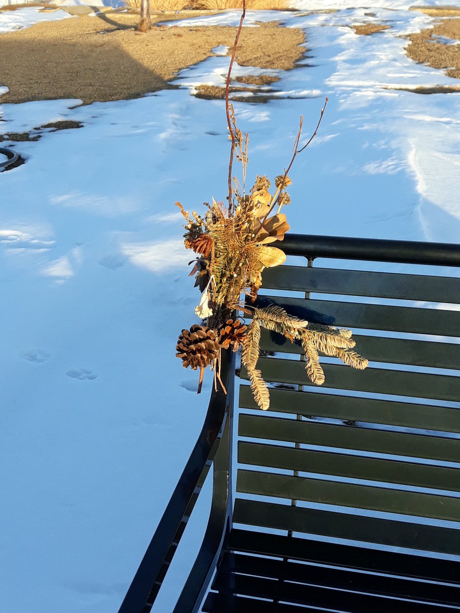 shericobbsouth's tweet image. With highs in the upper 40s,the hubs &amp;amp; I went for a walk. Full moon rises over the walking trail; the trail is clear, but snow still covers the grass. And look! Someone left a "winter bouquet" on a park bench! @spann #Coloradoliving #Colorado #Januarysnow