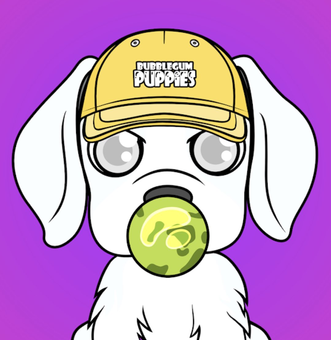 Prestidge tweet media