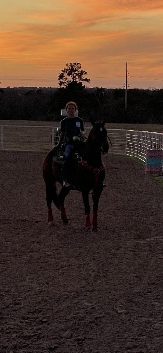 Josh Dorton tweet media