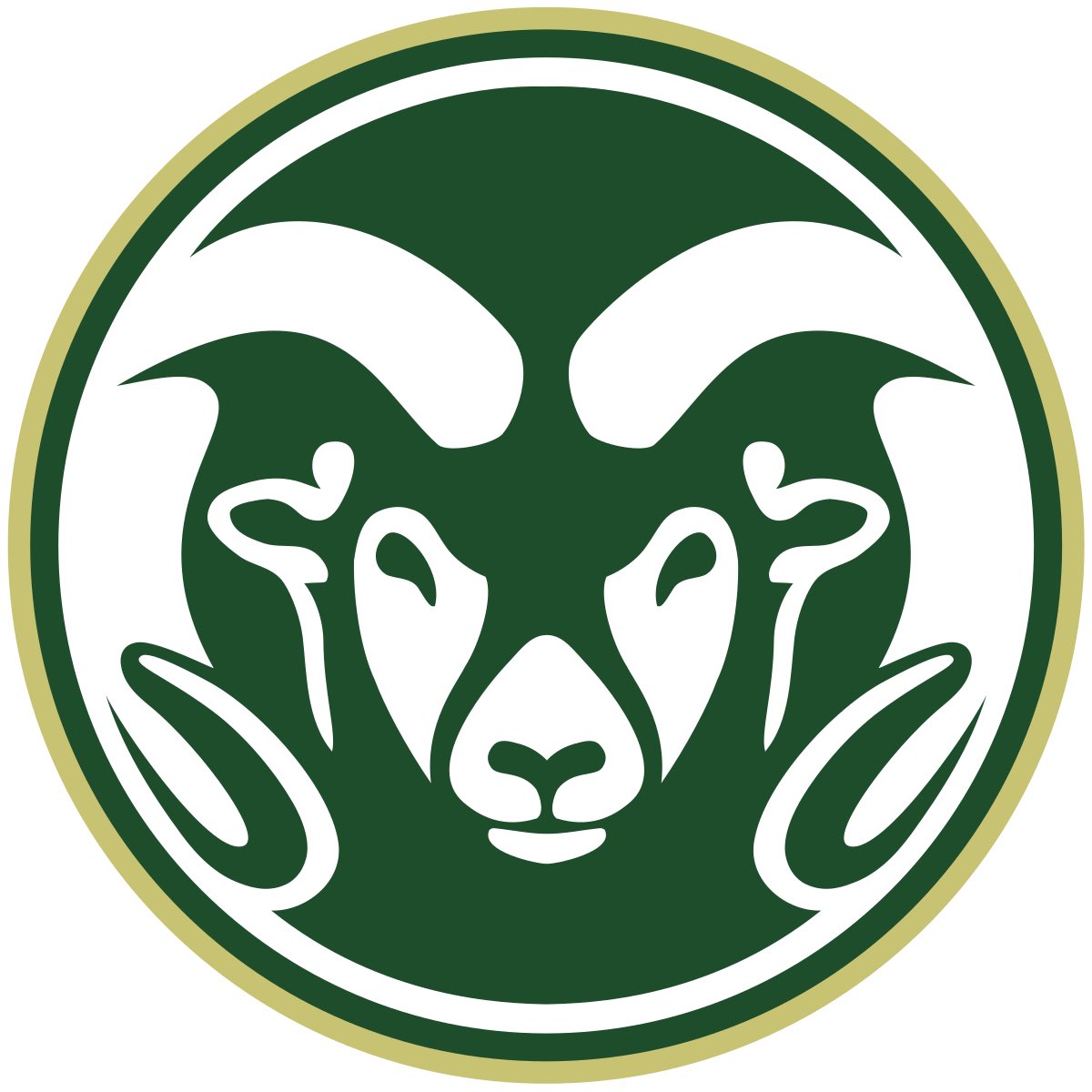 Nikolopez0's tweet photo. I am extremely blessed and grateful to have received an offer from Colorado State!!! @Adam_Pilapil @Austin_Pettis @QBCoach_Porter @embo85 @CoachRouz https://t.co/Nokqhtvjde