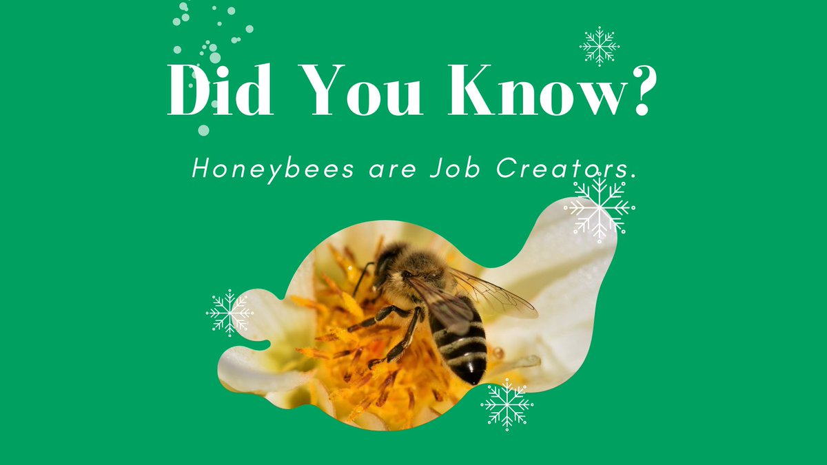 BetatecBees's tweet photo. π Honeybees are job creators. They pollinate over $15 billion in crops every year for farmers to harvest.
#pollinators #pollination #honeybees #beekeeper #beeworkers https://t.co/44NbopmEvX