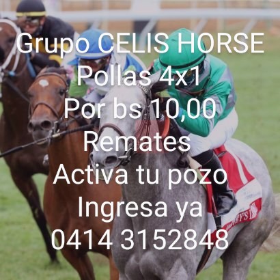celisyoyo's tweet photo. Activos este miércoles a domingo
➡️➡️➡️Pollas 4x1 juegas 4 por solo 10,00
➡️➡️➡️ Remates adelantados
➡️➡️➡️ Remates en vivo
#gulstream park
#la rinconada
Usted Gano y cobra al tirooo
Ingresa entra por este chat
Whatsapp
📲📲📲 https://t.co/xrSQDAuyN5 https://t.co/Vv3aI4QrfK