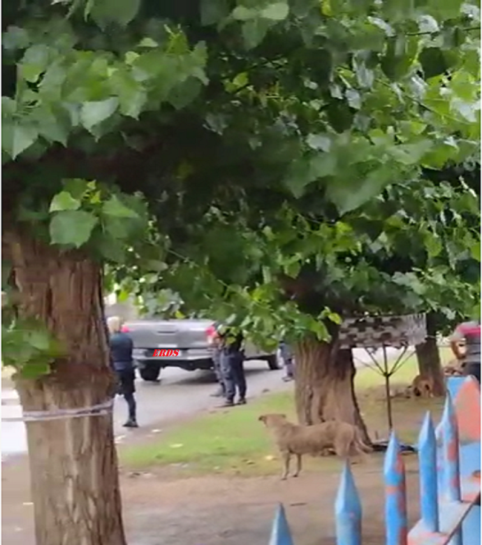 ElRadardelSur's tweet photo. Otro misterioso intento de robo a financista varelense
Un rodado que sería utilizado para traslado de dinero fue interceptado y tiroteado, el chofer salio corriendo. Dicen que no lograron robar nada y que las victimas no querian hacer la denuncia. 
https://t.co/5i4s6kD9l5 https://t.co/ijLYxzshPk