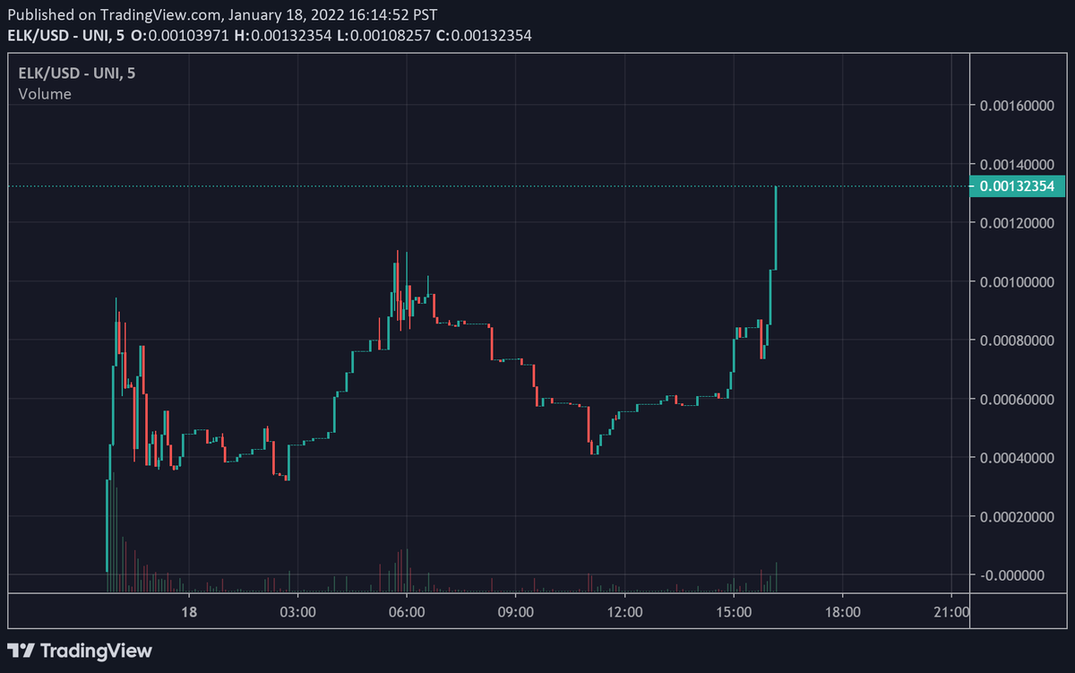 dolan the degen tweet media