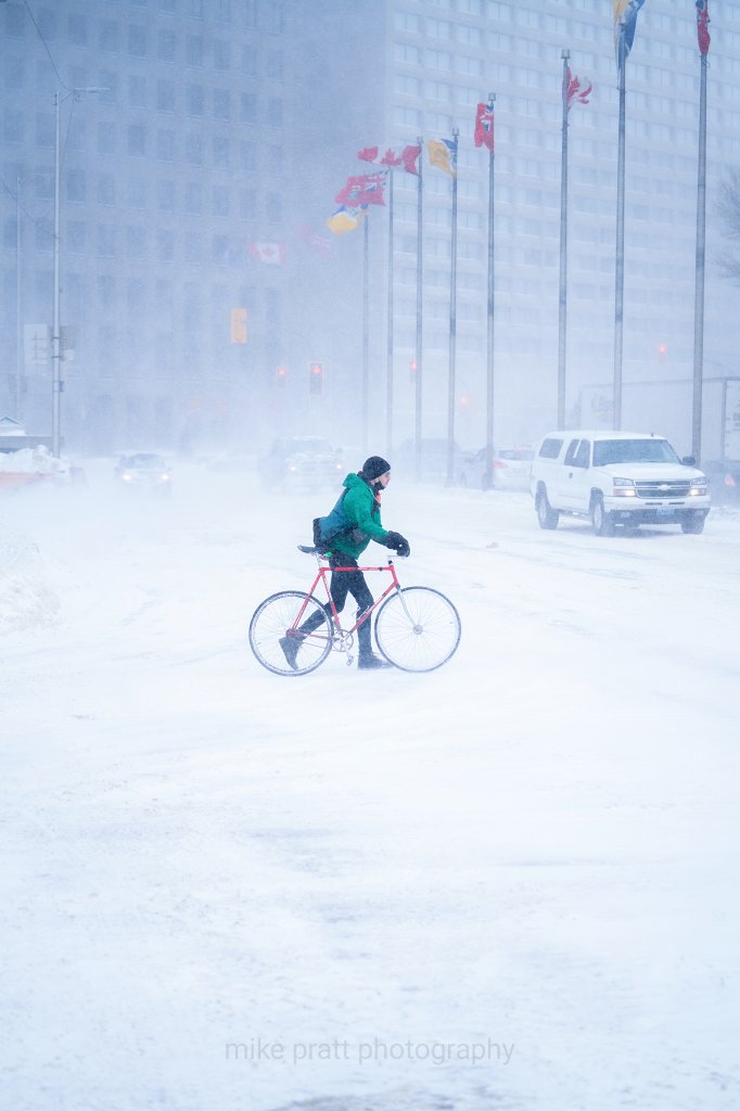 Cyclist battles strong wind and blowing snow as he crosses the street with his bike. Flags blow in the background. Behind are faded buildings.