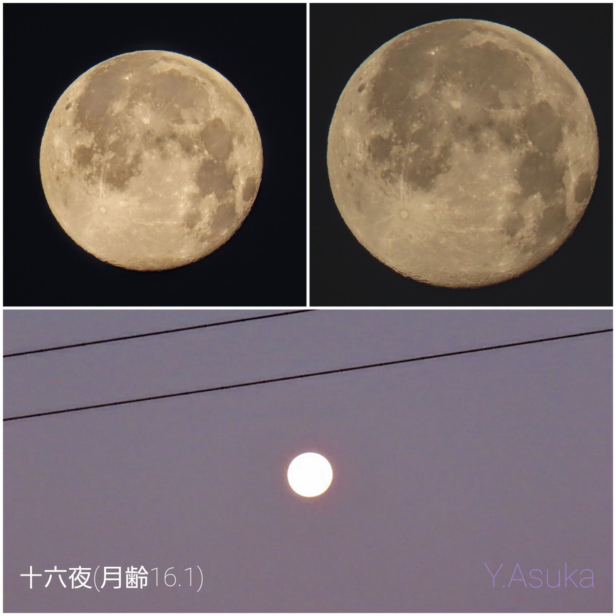 yumeasutw's tweet photo. 穏やかな #夜明け 🟦
#ビーナスベルト で桃色の西の空に #十六夜 のお月様(月齢16.1)が輝く水曜日の朝🌕️✨
予想最高/最低気温🌡️7℃/-7℃
晴れ時々曇り☀️/☁️
夕方は雲が多くなりそうです。
#空の名前
#雲の教室
#天気の図鑑
#月 #moon
#地球影
#市民薄明
#ブルーアワー
#a2022 #a0119 #a202201 https://t.co/Jb4idnidxQ