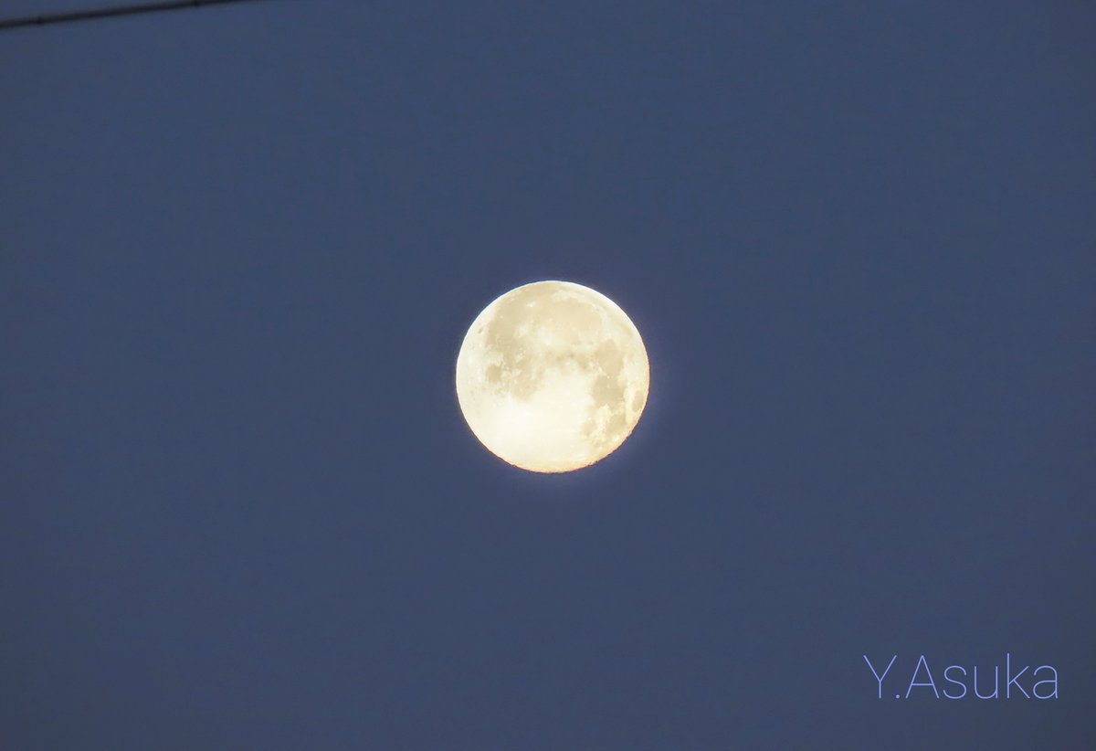 yumeasutw's tweet photo. 穏やかな #夜明け 🟦
#ビーナスベルト で桃色の西の空に #十六夜 のお月様(月齢16.1)が輝く水曜日の朝🌕️✨
予想最高/最低気温🌡️7℃/-7℃
晴れ時々曇り☀️/☁️
夕方は雲が多くなりそうです。
#空の名前
#雲の教室
#天気の図鑑
#月 #moon
#地球影
#市民薄明
#ブルーアワー
#a2022 #a0119 #a202201 https://t.co/Jb4idnidxQ