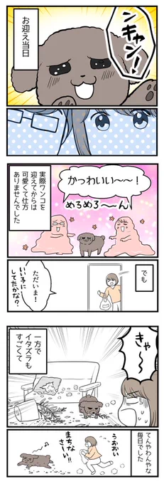 妊活で頭がいっぱいだった私を変えたもの④(最終話)【読者さん妊活体験談40】

ストレスの元が妊活でした🤔

#漫画が読めるハッシュタグ 