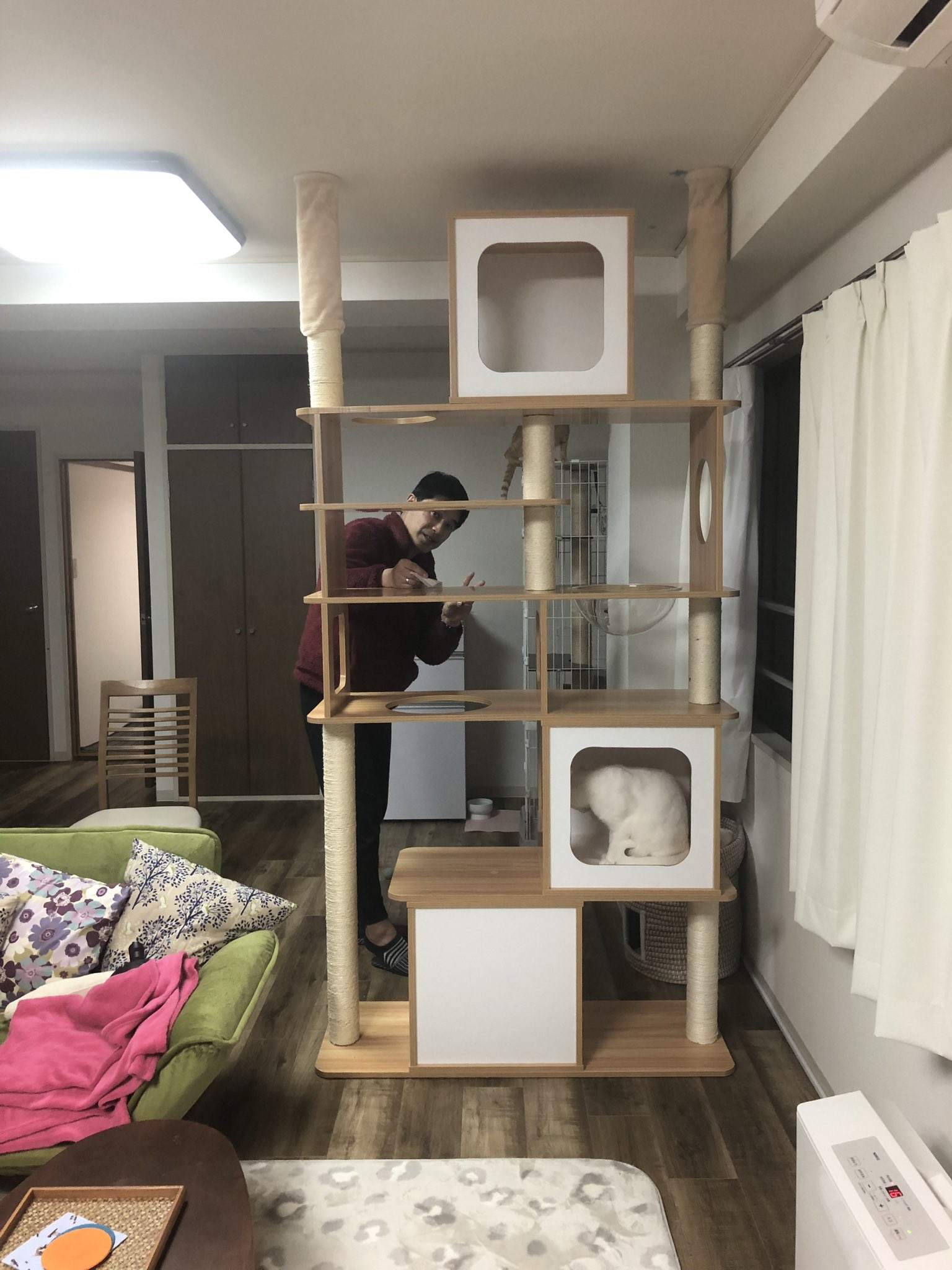 ねこ先生の整体院 Nekosensei39 Twitter