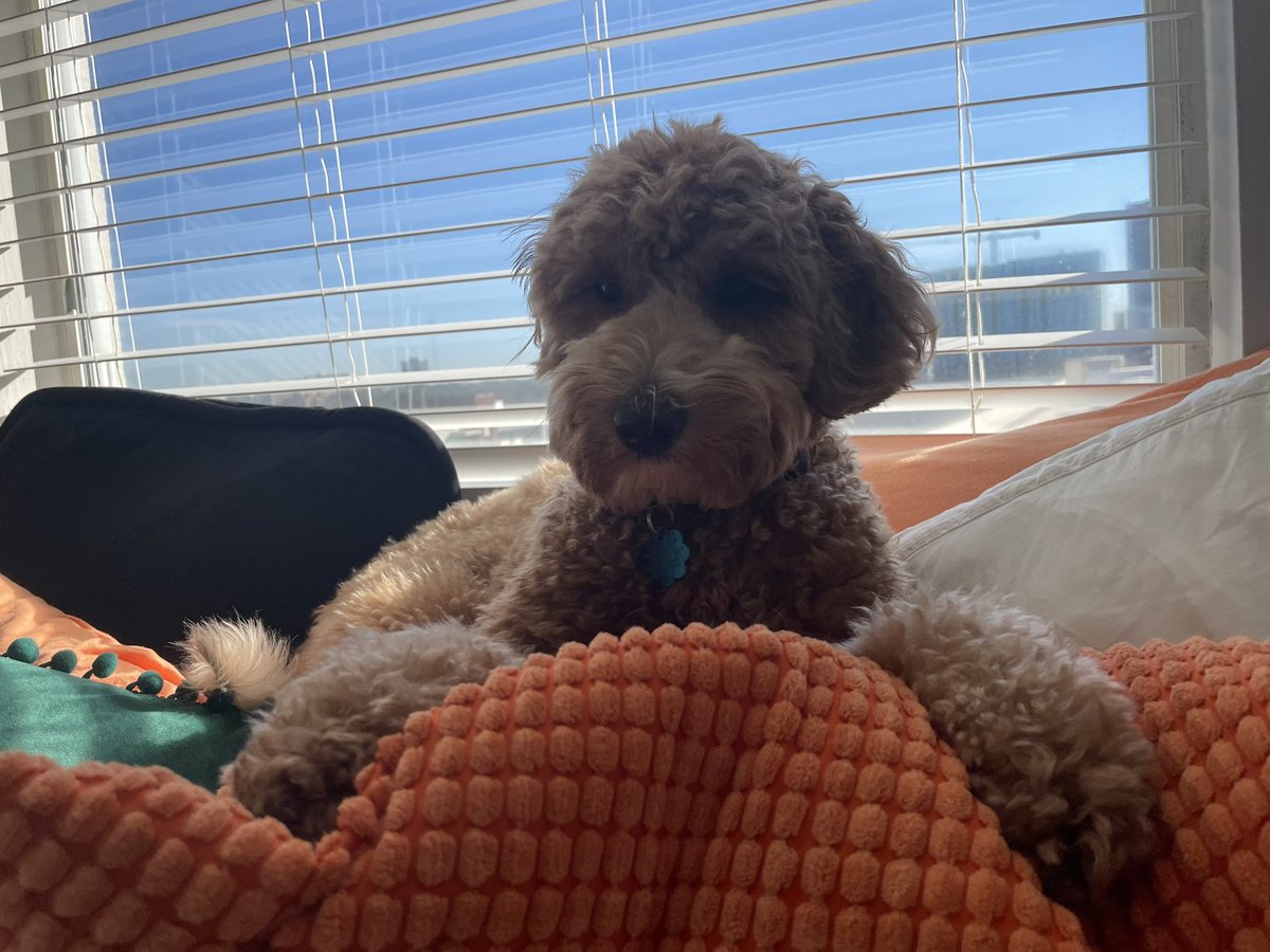 nochillgill2's tweet photo. window clicquot https://t.co/7eK8frRuoA
