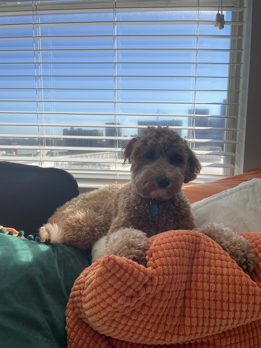 nochillgill2's tweet photo. window clicquot https://t.co/7eK8frRuoA
