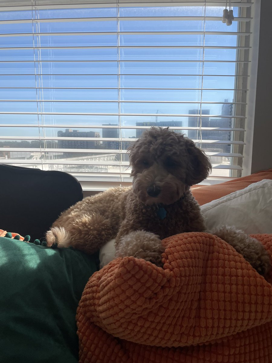 nochillgill2's tweet photo. window clicquot https://t.co/7eK8frRuoA