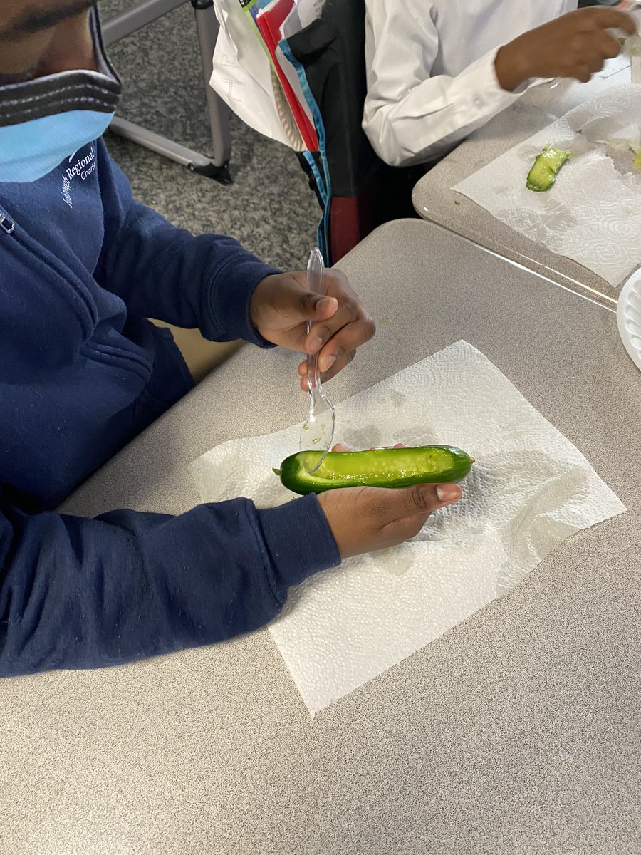 MsBTeaches3's tweet photo. The Spartans did a great job carving out cucumber mishoons after learning about the Wampanoag mode of travel! https://t.co/6xdyMKnsva
