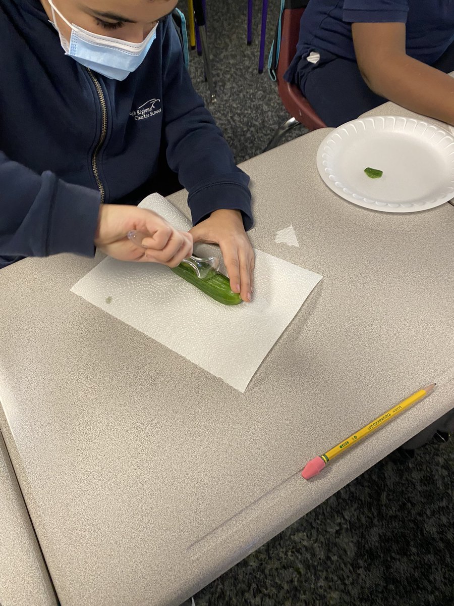 MsBTeaches3's tweet photo. The Spartans did a great job carving out cucumber mishoons after learning about the Wampanoag mode of travel! https://t.co/6xdyMKnsva