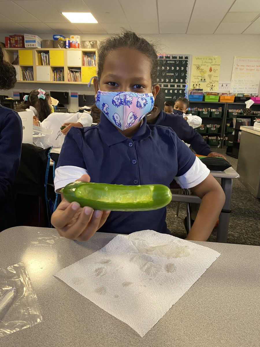 MsBTeaches3's tweet photo. The Spartans did a great job carving out cucumber mishoons after learning about the Wampanoag mode of travel! https://t.co/6xdyMKnsva