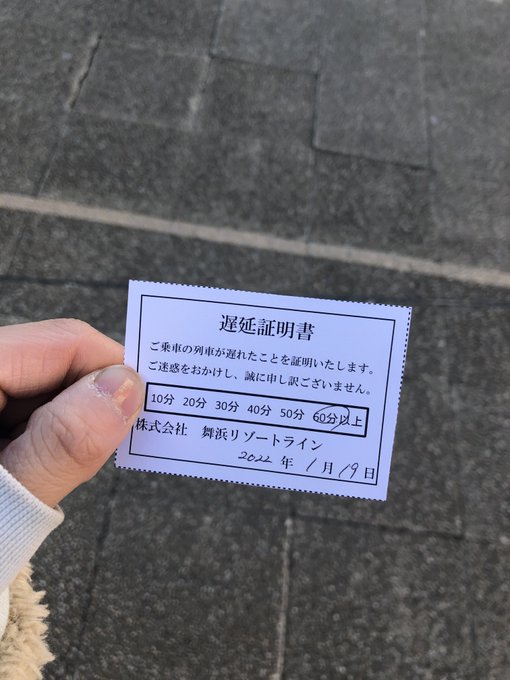 リゾラシス調 ディズニーリゾートラインが車両故障のため運転見合わせ 現地の動画や画像など 今日中に再開できるの まとめダネ リゾラシス調 ディズニーリゾートラインが車両故障のため運転見合わせ 現地の動画や画像など 今日中に再開できるの まとめダネ