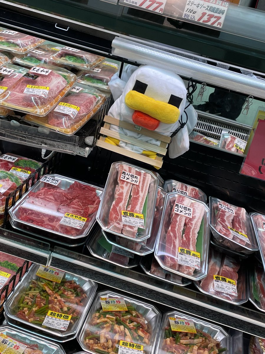 _ponchyan's tweet photo. こいついっつも遠目からみたらネギガナイトにみえる https://t.co/lzwwxdqK8n