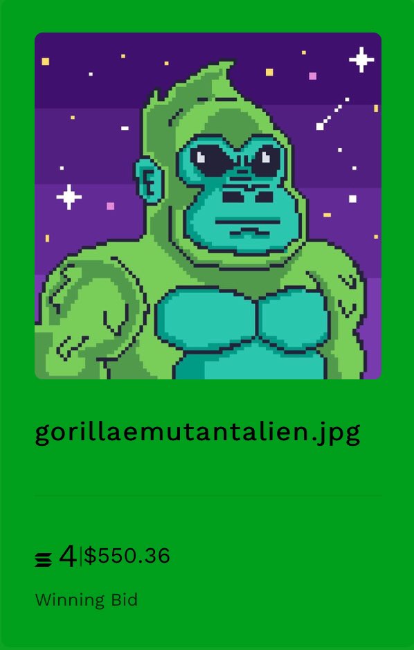 Gorillae Gang tweet media