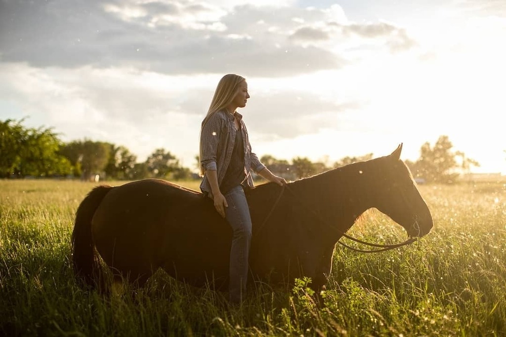 StandleeForage's tweet photo. Some Horses Will Test You,
Some Will Teach You,
And Some Will Bring Out The Best In You.
-Equestrian Co.
.
.
.
📷: @carliandbeau
#Standlee #StandleePremiumWesternForage #StandleeForage #GrownForTheLifeWeLove #StandleePremiumProducts #St… https://t.co/Um4VsVXwQu https://t.co/tgmTgzpTEP