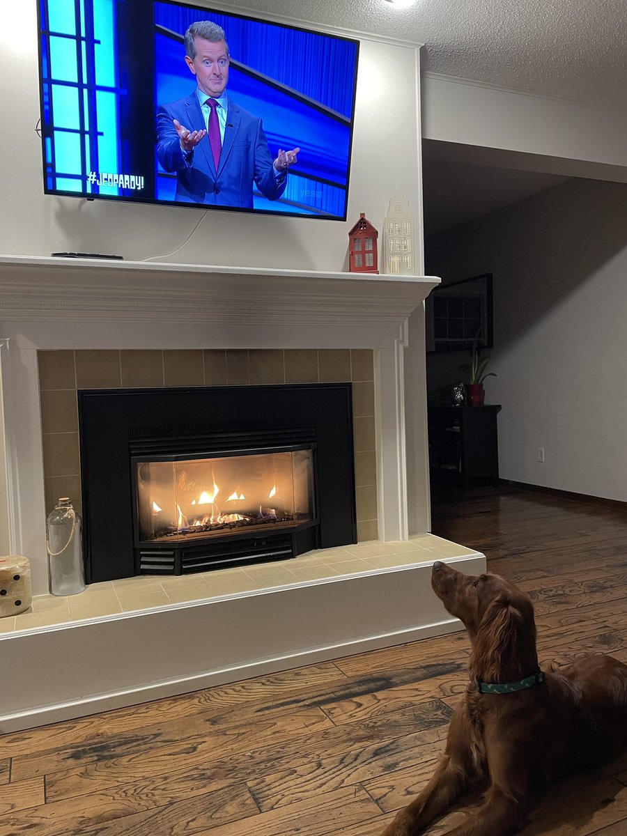 laurieb97's tweet photo. Clara and @KenJennings sharing a moment during @Jeopardy tonight. https://t.co/UoZALmFVbi