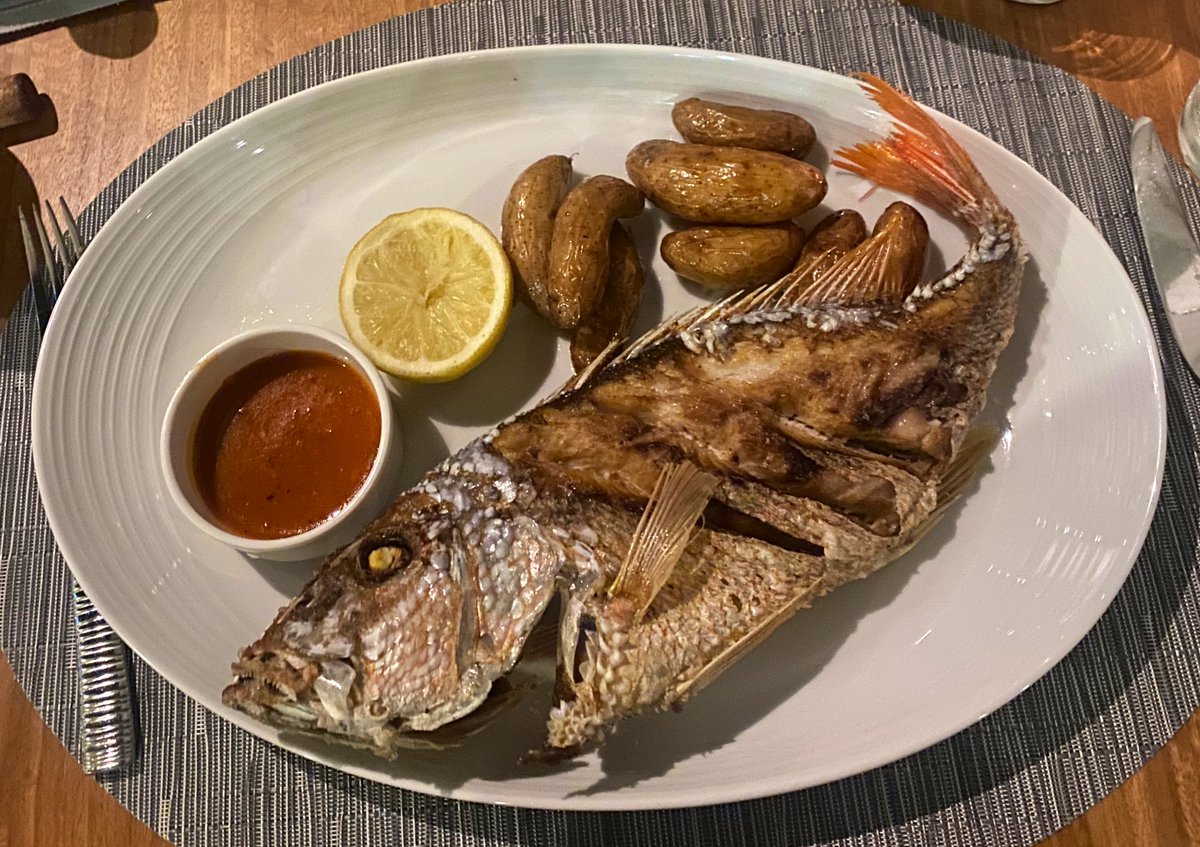 Freshly caught red snapper and fingerling potatoes with spicy coconut sauce. That’s it, this is the tweet. #caribbeannights