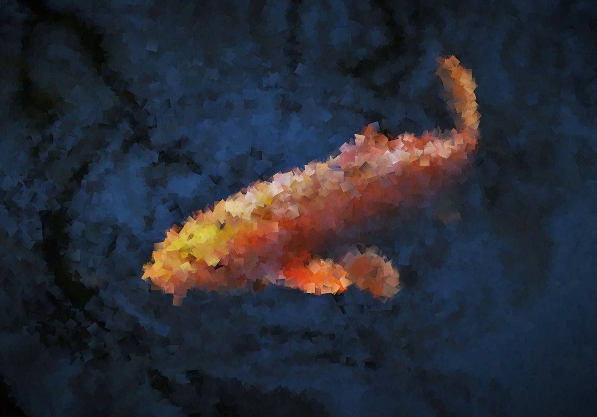 Brandon_Shoots's tweet photo. @NFTGalIery Cryptic Worlds
Dropping on Opensea on Saturday January 22nd 12PM CET! 
https://t.co/mXVSmqhQW7 https://t.co/Ptsox2e2Uf
