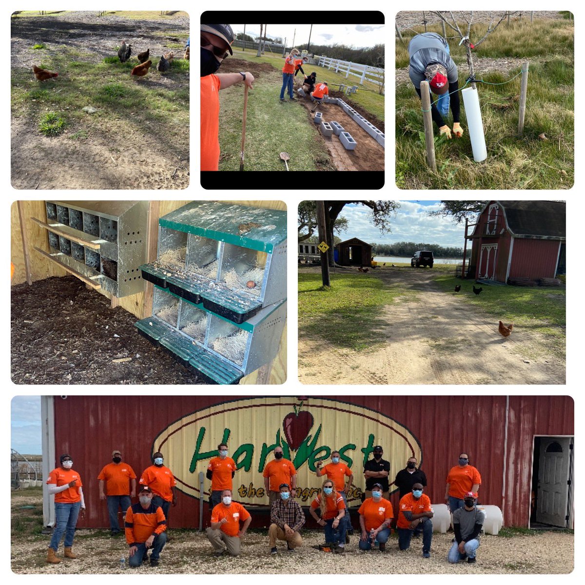 Had an amazing time giving back with D307 at Harvest for the hungry!!! Thank you David @h4thtx for allowing us to spend the day on the farm helping prepare for spring!!! The team really had a great time giving back! Can not wait to do it again!