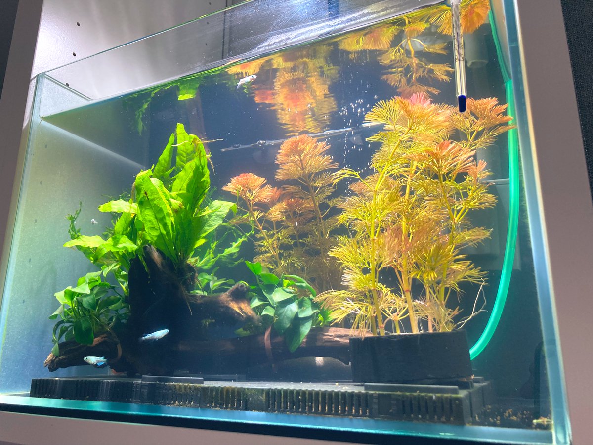 メガパワー45 Twitter Search Twitter