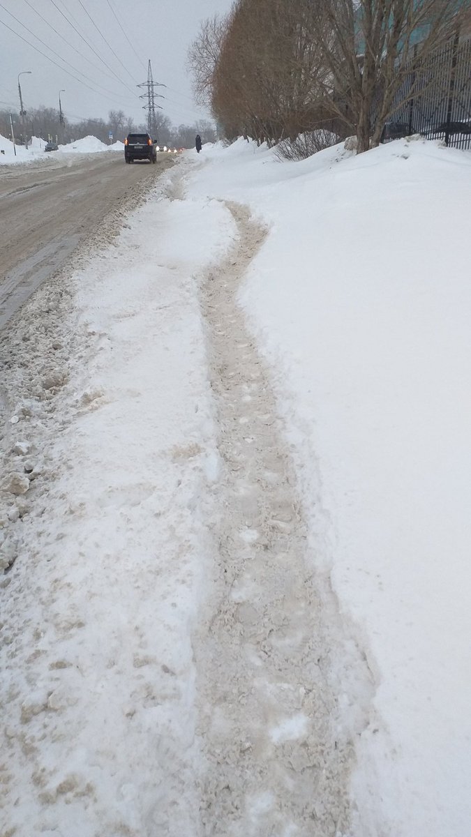 NaviGatoR° tweet media