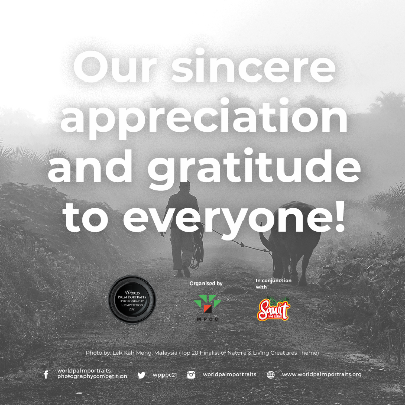 The Malaysian Palm Oil Council would like to thank all of you for your participation and support throughout our World Palm Portraits Photography Competition 2021.  #photographycompetition #sawit #sawitanugerahtuhan #sawitdivineblessing