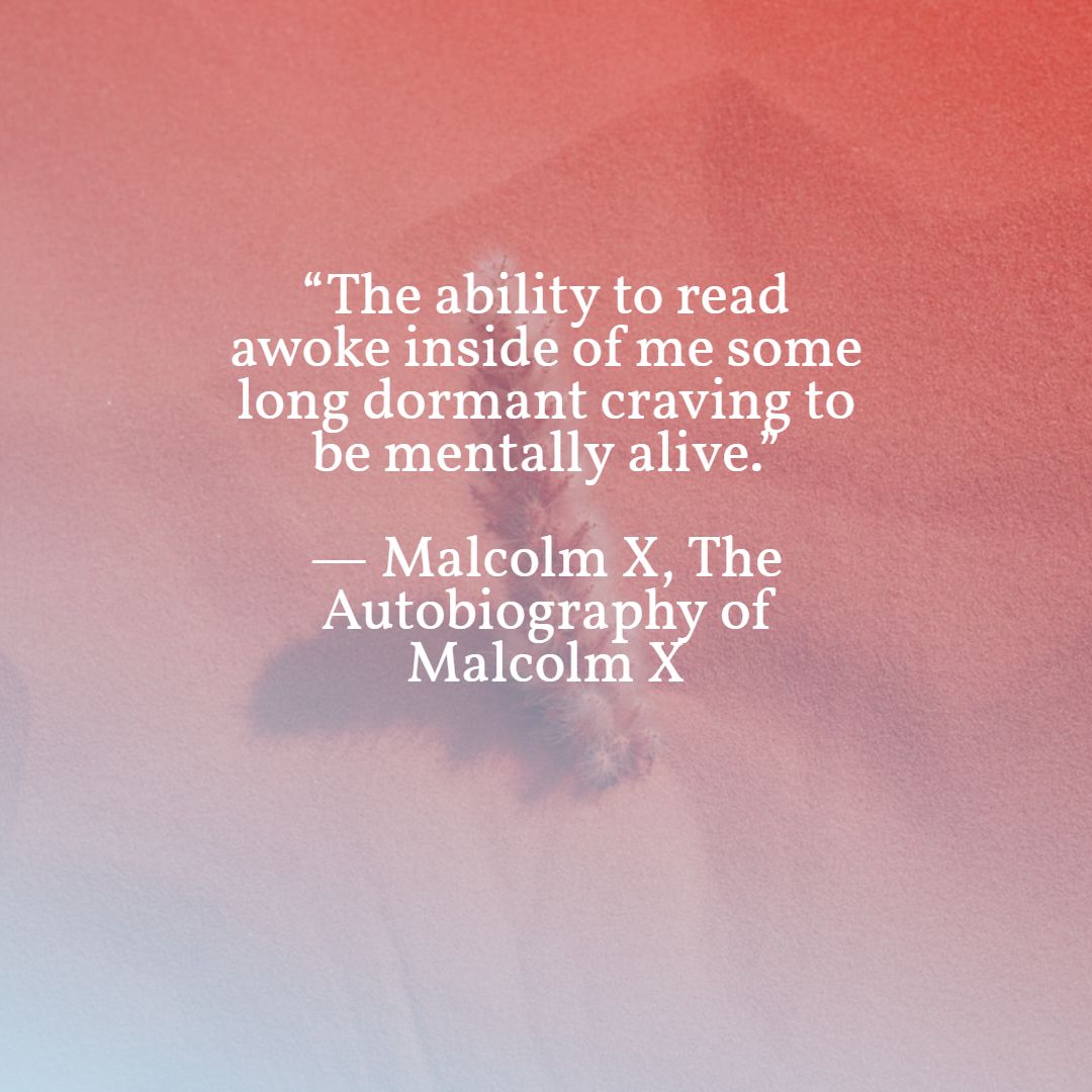 ReadOasis's tweet photo. https://t.co/Lr5VMX35GQ #reading #readALot #bigreading #extensivereading #ReadBig  #ReadOasis #readingquote #books https://t.co/IJaqvxrUlC