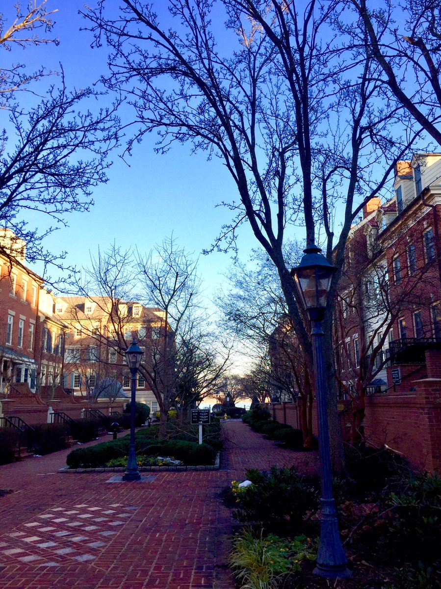 HobanGirl's tweet photo. In the fine company of cameramen who had just wrapped for the day. The trio’s as taken with the old RR tunnel as I am. #WilsonBridge is gilded as the sun lowers. So are the mews off #UnionStreet. Views from the heights never disappoint. #Potomac #OldTown #Alexandria https://t.co/HXx3jI7th9